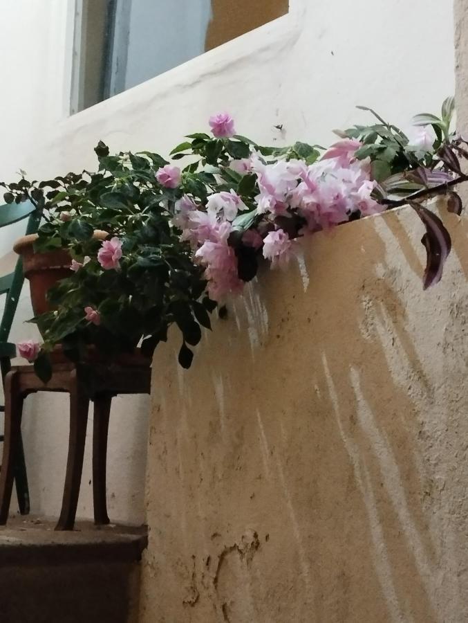 Um Quarto Da Casa Do Monte Vila Franca do Campo Eksteriør bilde